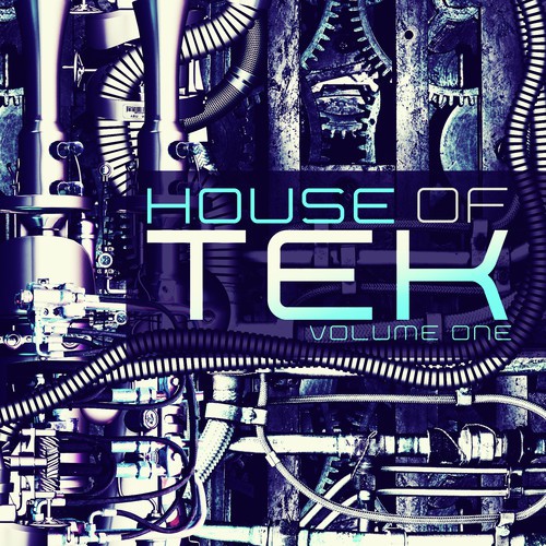 House of Tek, Vol. 1