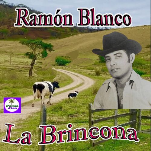 Al Campeón Naldito Armas cover art