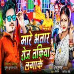 Maare Bhatar Roj Takiya Lagake