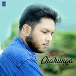 Main Toh Chahunga