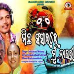 Michha Sansare Mun Nauri