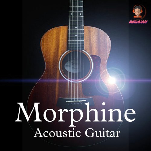 Morphine Acoustic Guitar