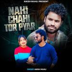 Nahi Chahi Tor Pyar
