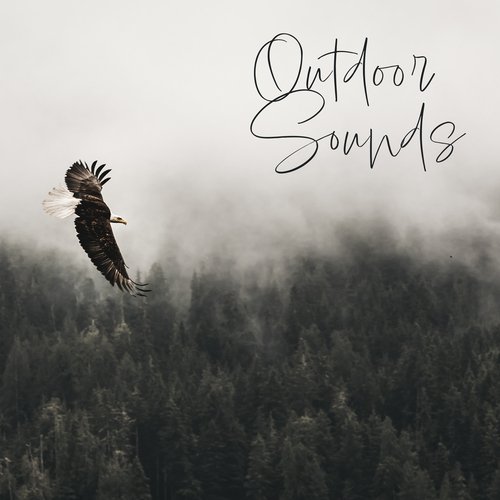 Nature Morning Alarm Ringtones cover art
