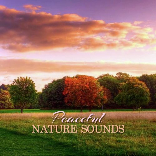 Peaceful Nature Sounds