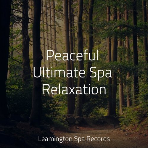 Peaceful Ultimate Spa Relaxation