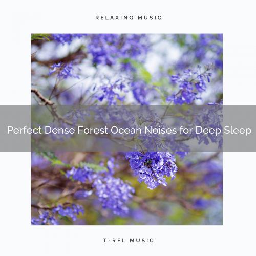 Perfect Dense Forest Ocean Noises for Deep Sleep