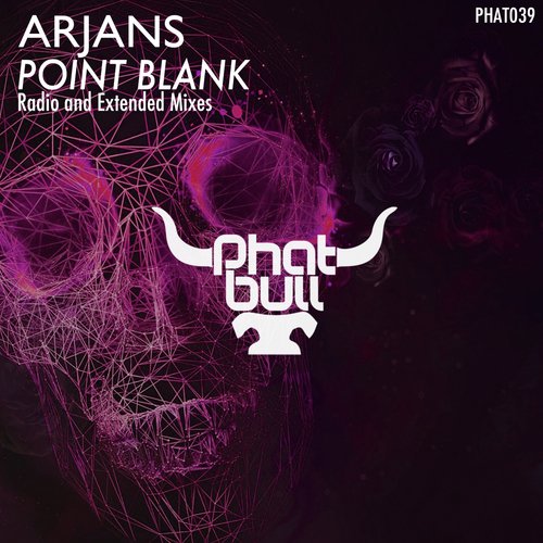 Point Blank (Radio Mix) cover art