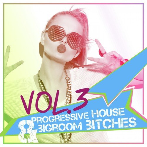 Progressive House & Bigroom Bitches, Vol. 3