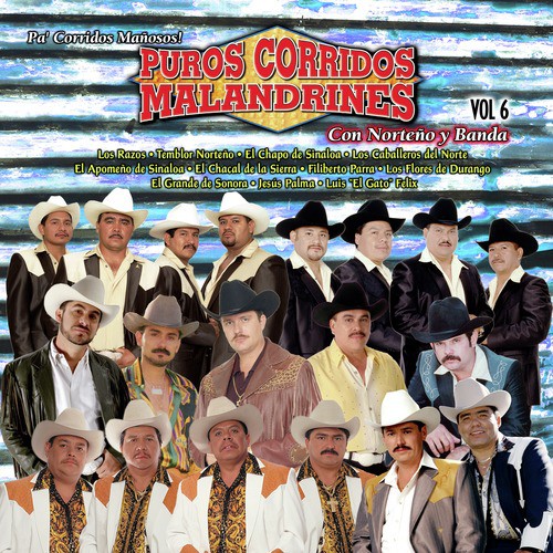 El Periquiado - Song Download from Puros Corridos Malandrines Vol. 6 @  JioSaavn