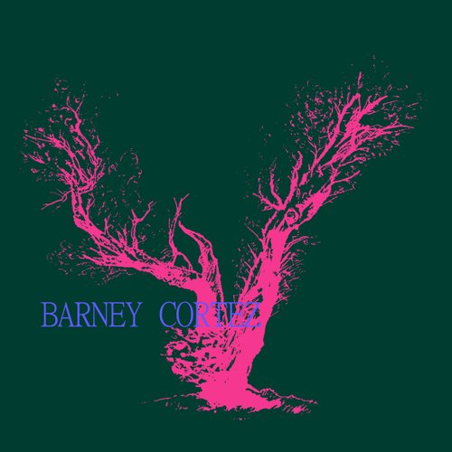 Salma (Barney Cortez Remix) cover art