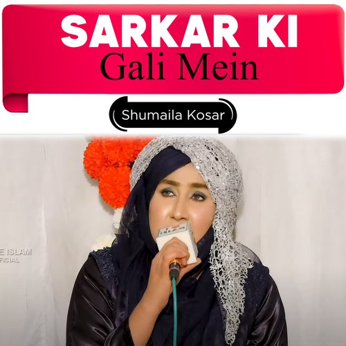 Sarkar Ki Gali Mein