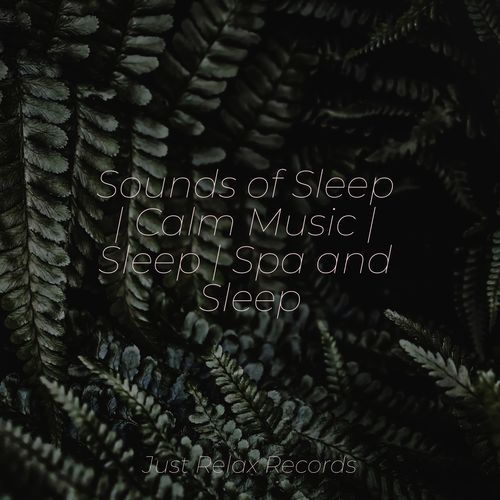 Sounds of Sleep | Calm Music | Sleep | Spa and Sleep