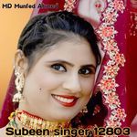 Subeen Singer 13004