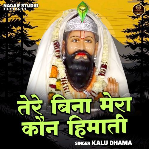 Tere Bina Mera Kaun Himati