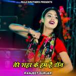 Tere Shahar Ke Ham Hain Don