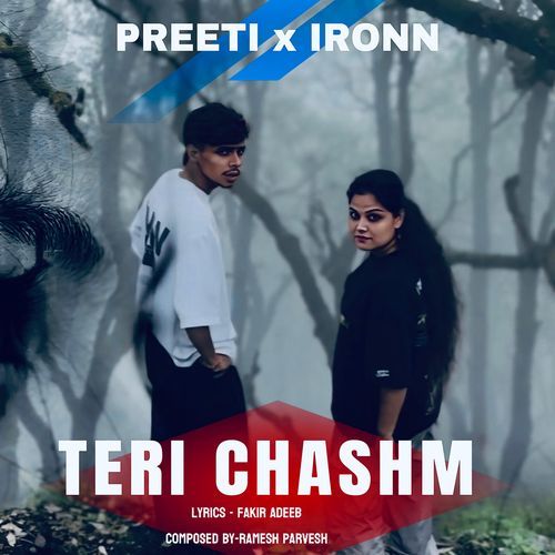 Teri Chashm