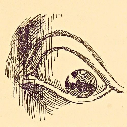 Writer's Block cover art