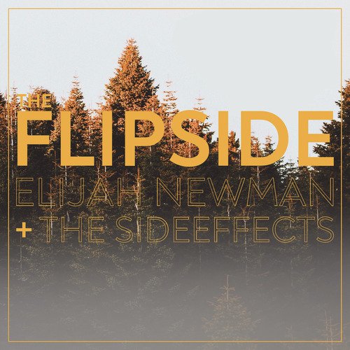 The Flipside_poster_image