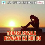 Tohara Pagala Deewana Ka Hoi Ho