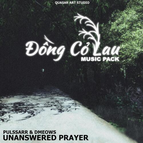 Unanswered Prayer (feat. DMeows) cover art