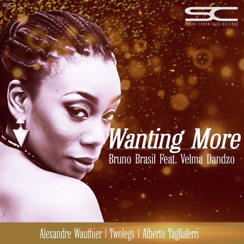 Wanting More  (Remixes)_poster_image