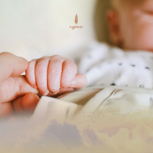 달밤의 노루가 숨바꼭질 하네 A Deer Plays Hide And Seek At Night Under The Moonlight