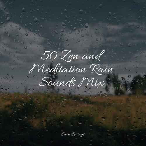 50 Zen and Meditation Rain Sounds Mix