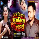 Ab Jiyal Mumkin Naikhe