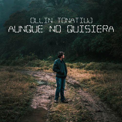 Aunque No Quisiera (Pop Mix) cover art