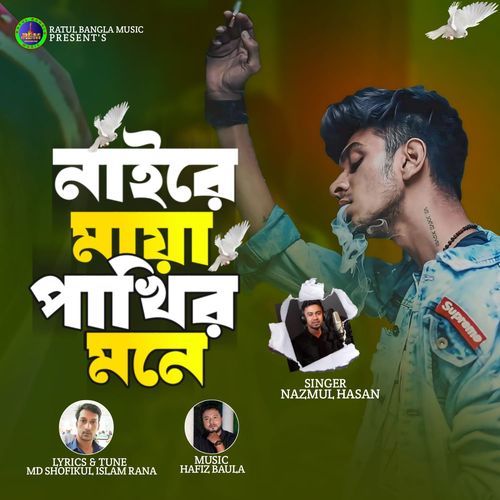 নাইরে মায়া পাখির মনে