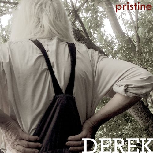 Derek cover art