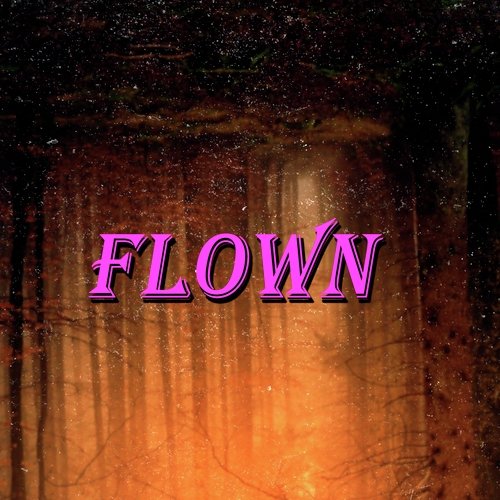 Flown cover art