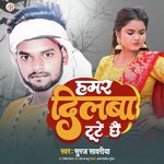 Hamar Dilwa Tute Chhe