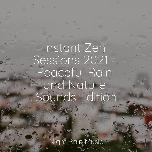 Instant Zen Sessions 2021 - Peaceful Rain and Nature Sounds Edition