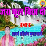 Jara Fhool Bichha Do