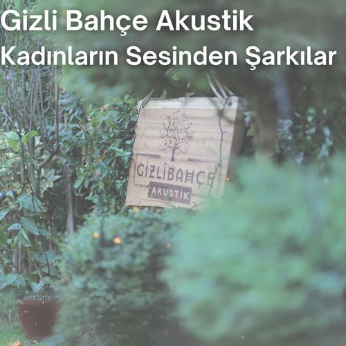 Kadınların Sesinden Şarkılar