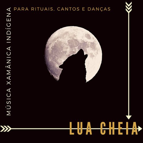 Poder Xamã cover art