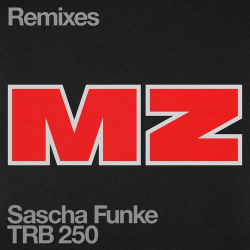 MZ (Roman Flügel Remix)