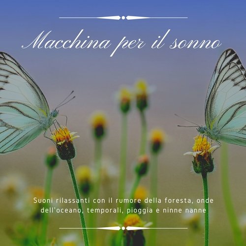 Suoni per dormire cover art