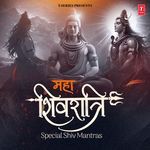 Mahamrityunjaya Mantra 108 Times (From "Mahamrityunjaya Mantra 108 Times")