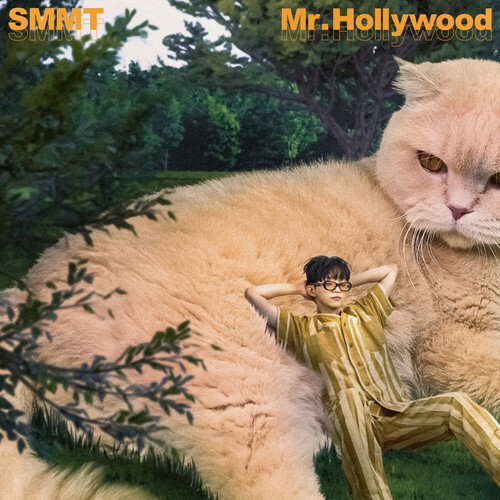 Mr. Hollywood_poster_image