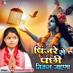 Pinjre Se Panchi Nikal Jayega