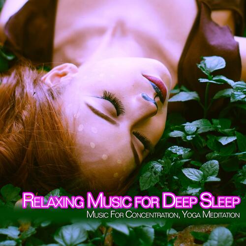 Relaxing Music for Deep Sleep: Music For Concentration, Yoga, Meditation