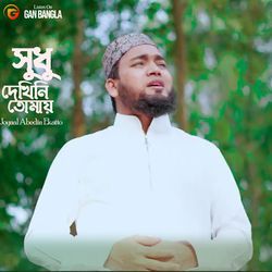 Shudhu Dekhini Tomay-RQoaBB9TBGs