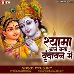 Shyama Aan Baso Vrindavan Mein