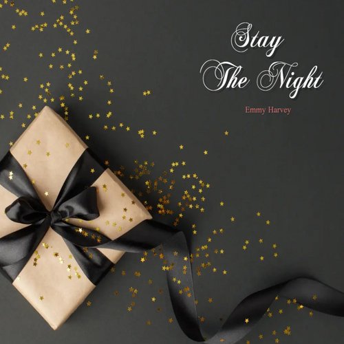 Stay The Night