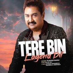 Tere Bin Lagena Dil-AjE6HCVof1E