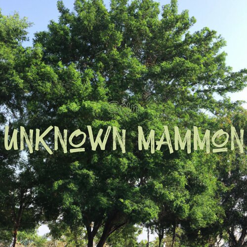 Unknown Mammon