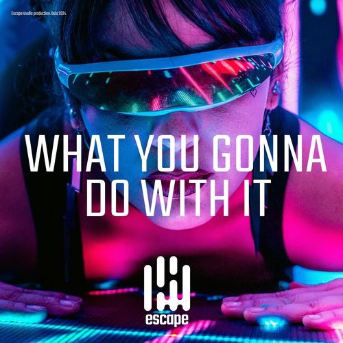 What you gonna do with it_poster_image